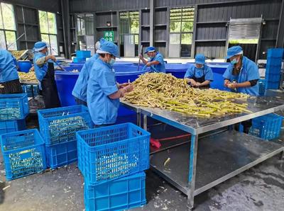 雅安市雨城區 嚴守食用林產品安全防線，推動食用農產品研發創新