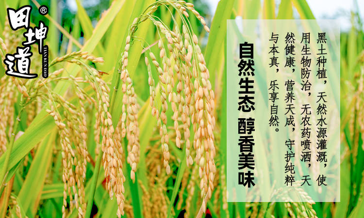 田坤道 深耕食用農(nóng)產(chǎn)品研發(fā)，于平凡中鑄就非凡財(cái)富