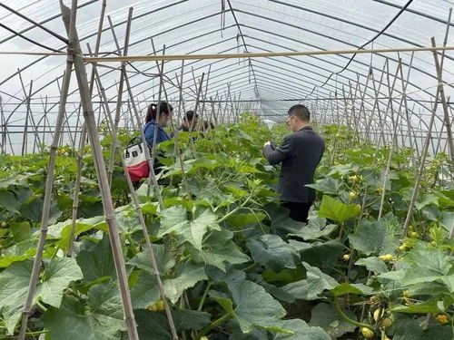 科技賦能，一碼溯源 食用農產品的電子身份證時代